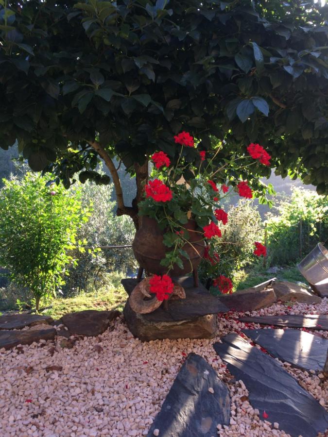 Mountainhome Casa Cancelinha Soito  Εξωτερικό φωτογραφία